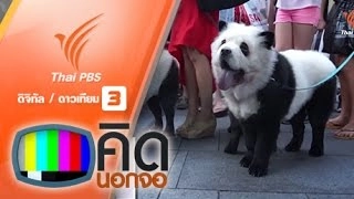 ย้อมสีขนสุนัขให้คล้ายแพนด้า