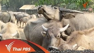 กขคง