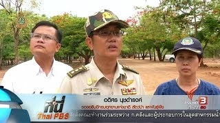 ที่นี่ Thai PBS : ค้าเสือ