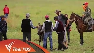 ทุ่งหญ้าเลี้ยงสัตว์บนภูเขาหิมะ