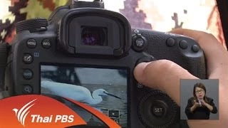 แรงบันดาลใจจากโครงการ Save The Birds