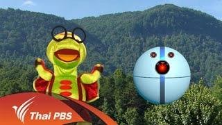 ช่วยกบดึกดำบรรพ์