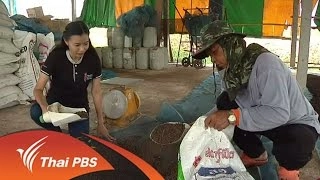 ประเด็นข่าว (20 มิ.ย. 59)