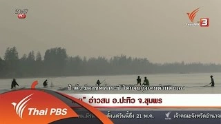 นักข่าวพลเมือง : "เคย" อ่าวสน อ.ปะทิว จ.ชุมพร (18 พ.ค. 59)