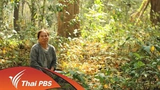 ป่าน้ำจำ