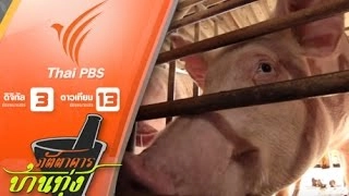 หมูทางเลือก