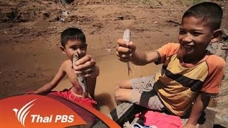 ไส้เดือนสะเทินน้ำสะเทินบกแม่น้ำโขง