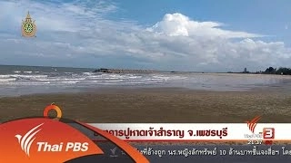 นักข่าวพลเมือง : ธนาคารปูหาดเจ้าสำราญ จ.เพชรบุรี