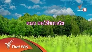 ผลไม้มหาภัย