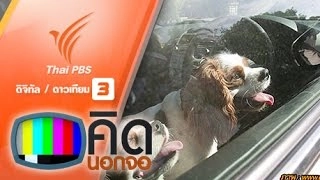 ทุบกระจกรถไม่ผิดกฎหมาย หากลืมสัตว์เลี้ยงไว้ในรถ