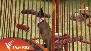 ประเด็นข่าว (29 มี.ค. 59)