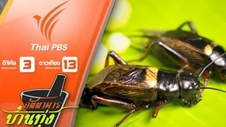 จิ้งหรีดทองดำทองแดง