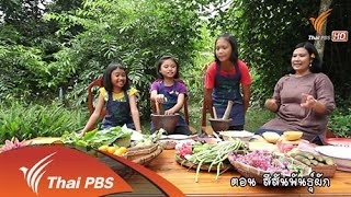 สีสันพันธุ์ผัก