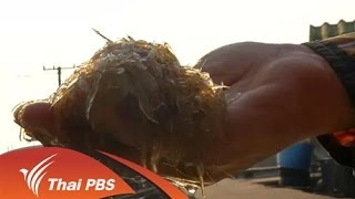 ทุกทิศทั่วไทย ออกอากาศ 16 ก.พ. 59