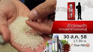 ข้าวเทพเจ้า ความพยายามของคนสู้