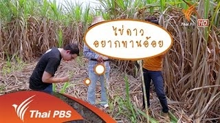 หวานสดชื่นด้วยน้ำอ้อย