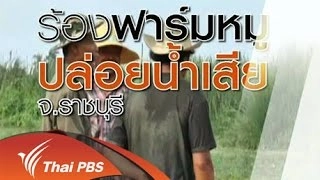 ฟาร์มหมูปล่อยน้ำเสีย อ.โพธาราม จ.ราชบุรี