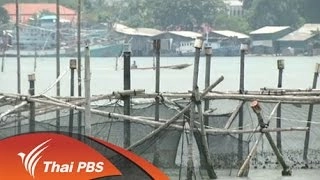 ความคืบหน้าแก้ปัญหาไอยูยูฟิชชิ่ง