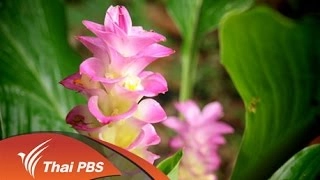 วนเกษตร