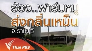 ตรวจสอบฟาร์มหมูปล่อยน้ำเสีย  อ.ปากท่อ จ.ราชบุรี