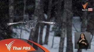 ความคิดเห็นต่อการนำเสนอข่าวเศรษฐกิจไทยพีบีเอส