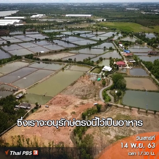 ต้องเปลี่ยนแหล่งอาหารที่สมบูรณ์ที่สุดไปเป็นอุตสาหกรรม