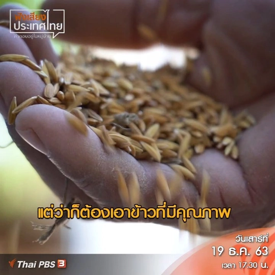 กองบุญข้าว ธนาคารอาหารบ้านโนนคูณ