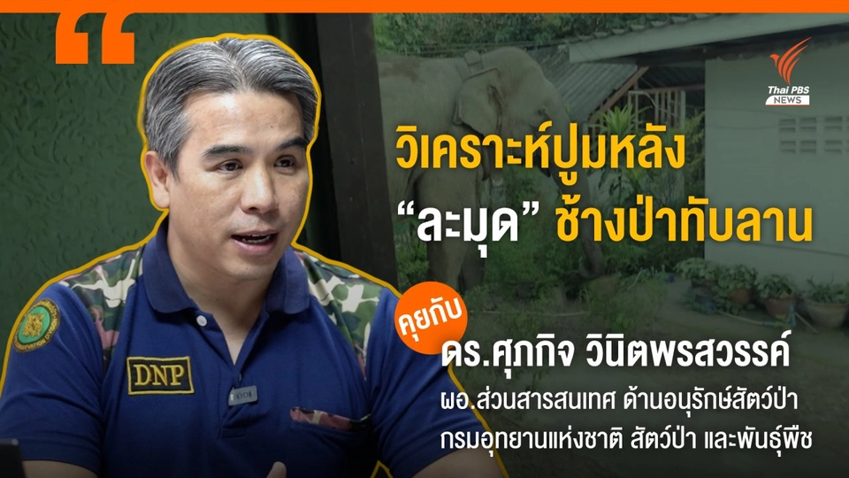 วิเคราะห์ปูมหลัง “ละมุด” ช้างป่าทับลาน