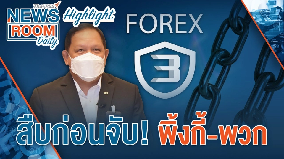 [HIGHLIGHT] Newsroom Daily : สืบก่อนจับ! พิ้งกี้ - พวก