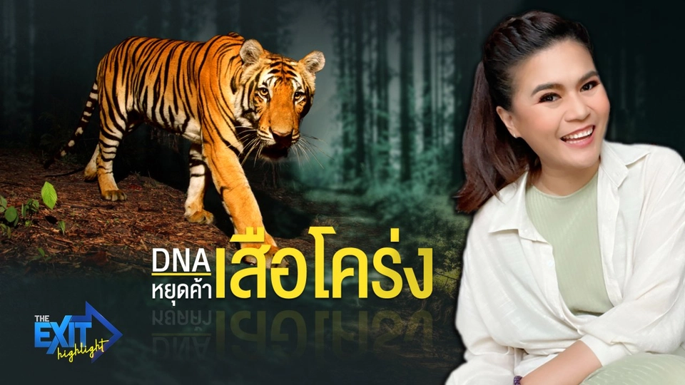 DNA หยุดค้า "เสือโคร่ง"