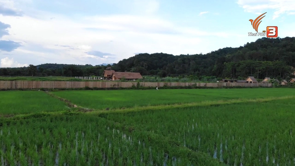 [Spot] A Day in the WILD (12 ก.ย. 64)