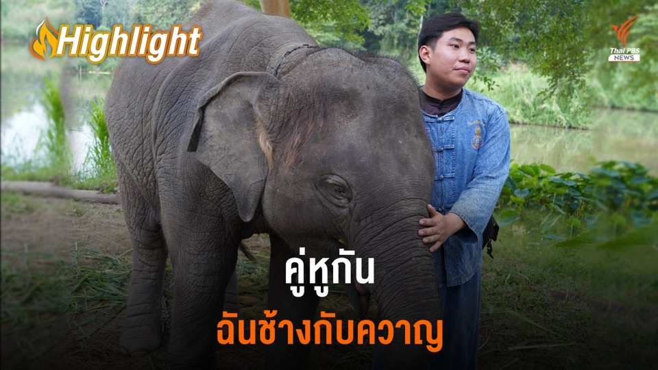 คู่หูกัน ฉันช้างกับควาญ