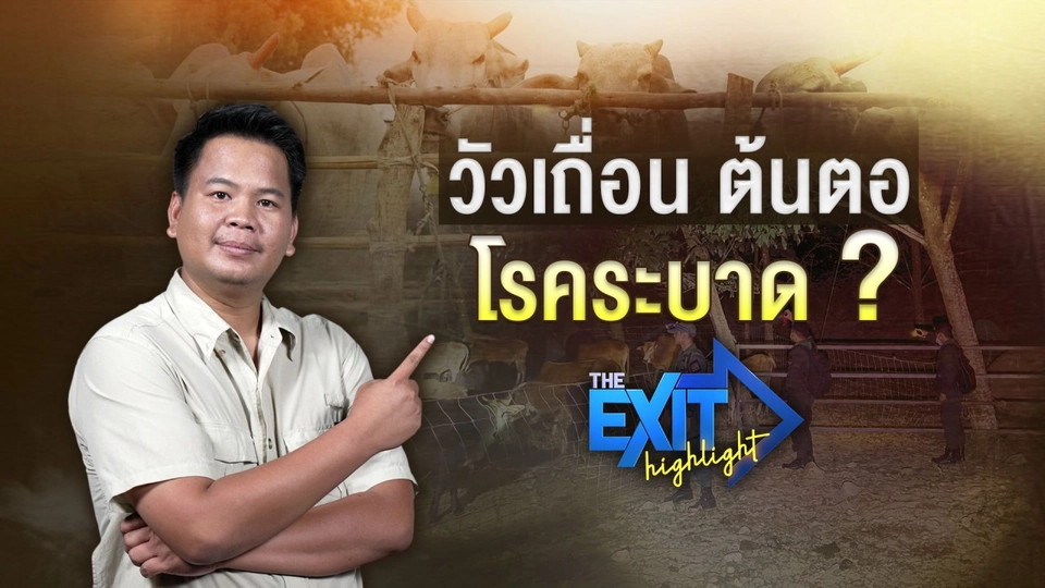 เจาะขบวนการค้าวัวเถื่อน ทำไมถูกมองเป็นต้นตอโรคระบาด | The EXIT Highlight EP.25