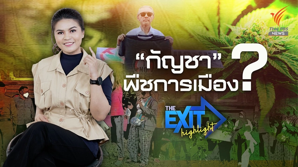 'กัญชา' พืชการเมือง ? | The EXIT Highlight EP.31