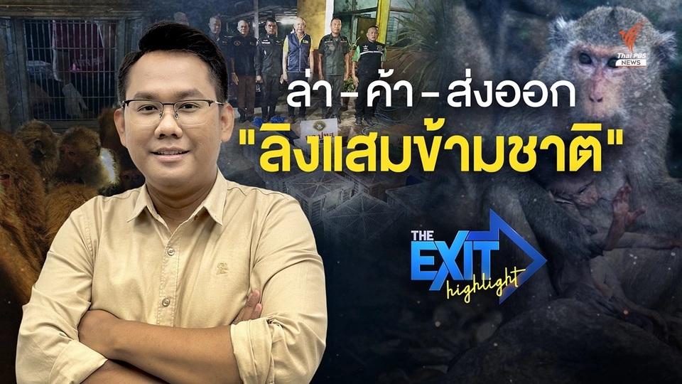 ขบวนการ “ล่าค้าลิงแสมข้ามชาติ” I The EXIT Highlight EP.32