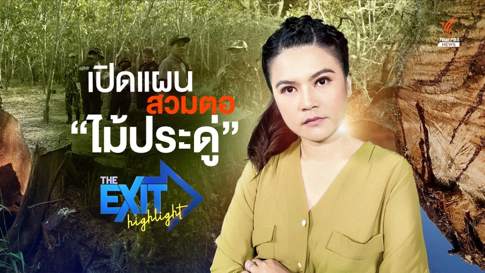 เปิดแผนโกงลอบตัด "ไม้ประดู่" สวมตอ  | The EXIT Highlight EP.18