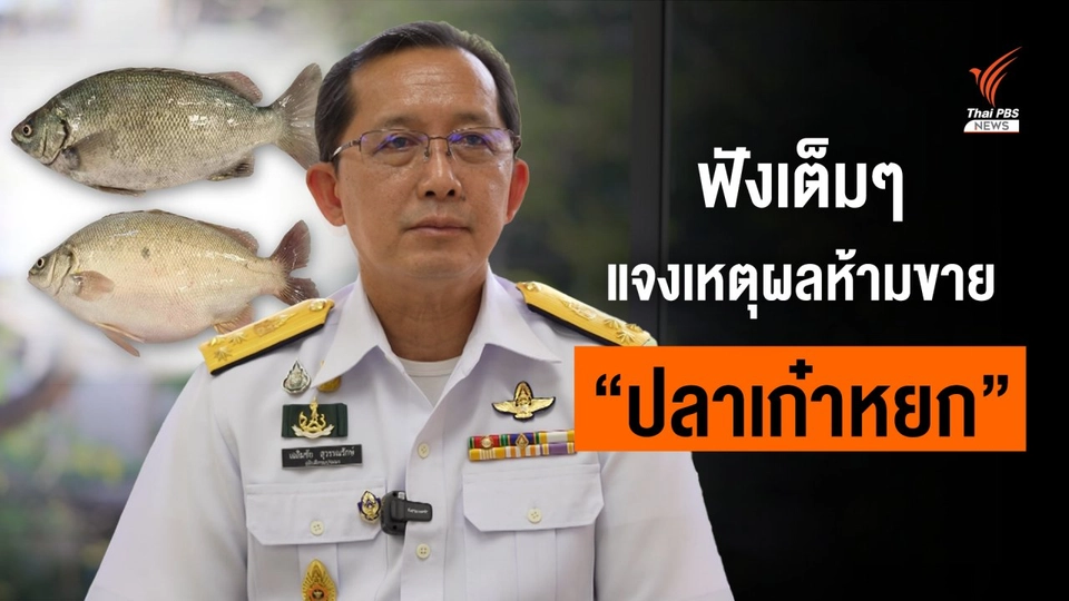 ฟังเต็มๆ กรมประมงชี้แจงห้ามขาย "ปลาเก๋าหยก" งานเกษตรแฟร์