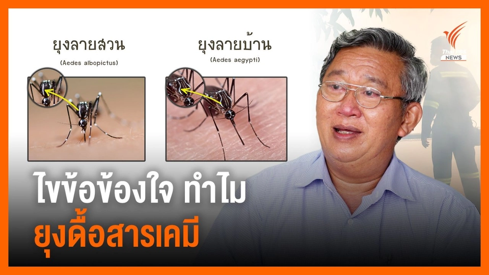 รับมืออย่างไร เมื่อ "ยุงดื้อยา" กลายเป็น "ซูเปอร์ยุง"
