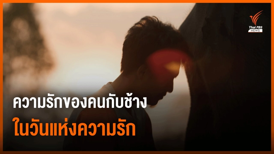 ความรักของคนกับช้าง ในวันแห่งความรักที่ "บ้านเพราะช้าง"