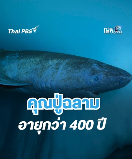 ความลับอายุยืน คุณปู่ฉลามกรีนแลนด์ | ท่องโลกกว้าง