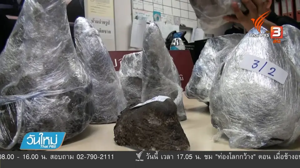 ยึดนอแรด ค้าข้ามชาติ มูลค่ากว่า 55 ล้านบาท