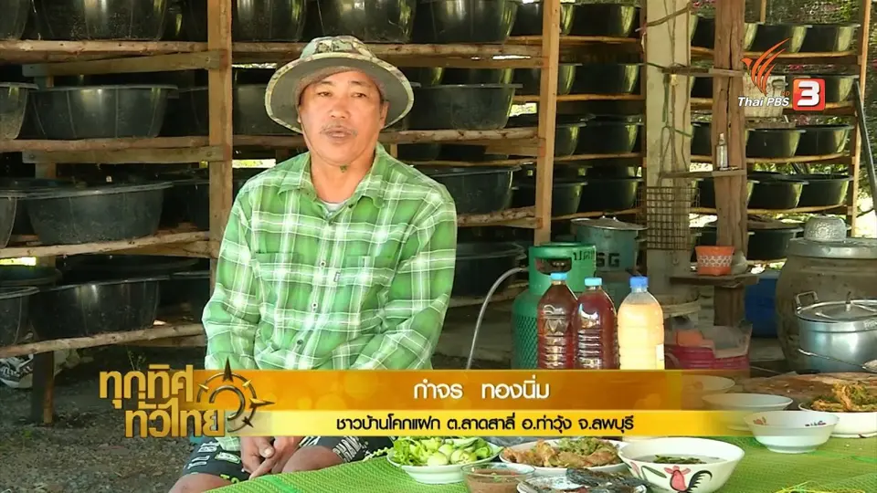 ผลิตน้ำจาวปลวกใช้ในนาข้าวแทนสารเคมี