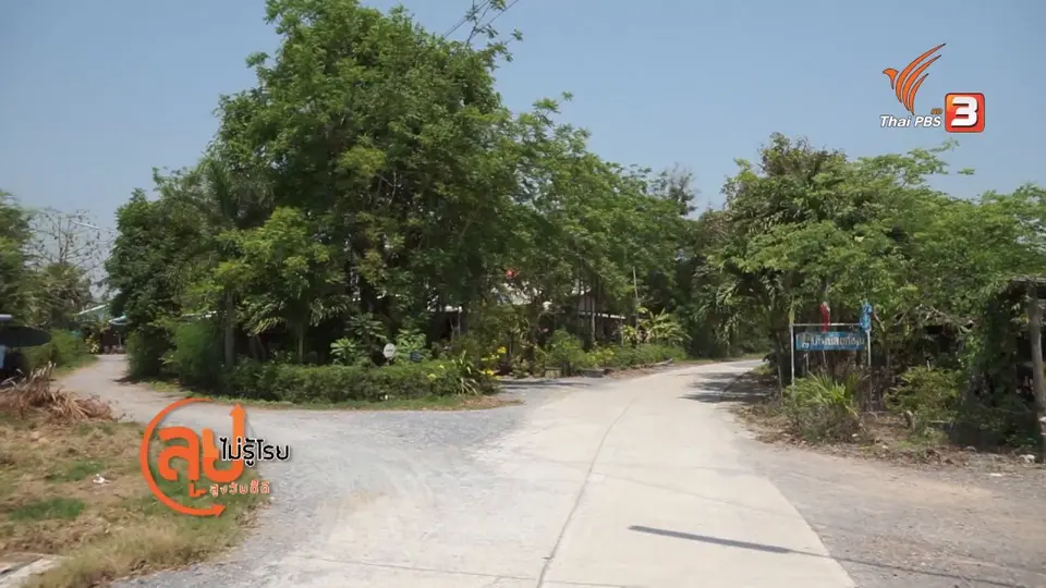 สูงวัยใจเกินร้อย : เกษตรสุขภาพดี