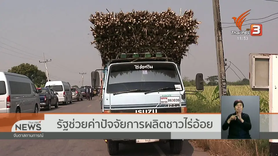 รัฐช่วยค่าปัจจัยการผลิตชาวไร่อ้อย