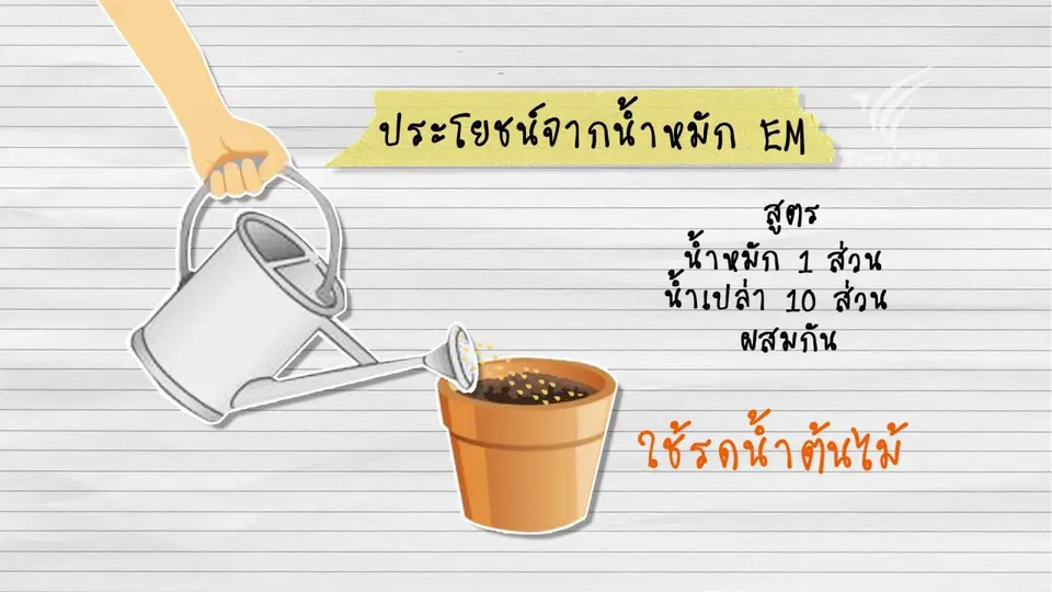 เปลือก...ลองกอง มีดีกว่าที่คิด
