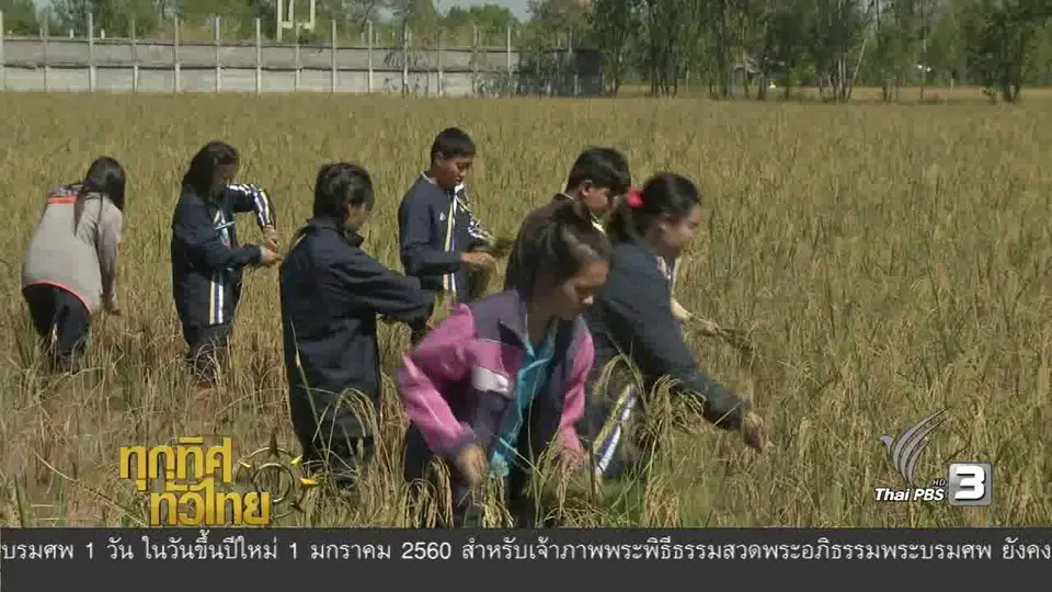 ประเด็นข่าว ( 21 ธ.ค. 59)