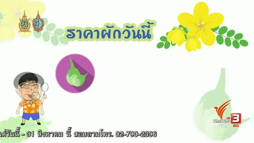 สายสืบเจาะตลาด : สืบราคาผักช่วงฤดูฝน ตลาดศรีเมือง จ.ราชบุรี
