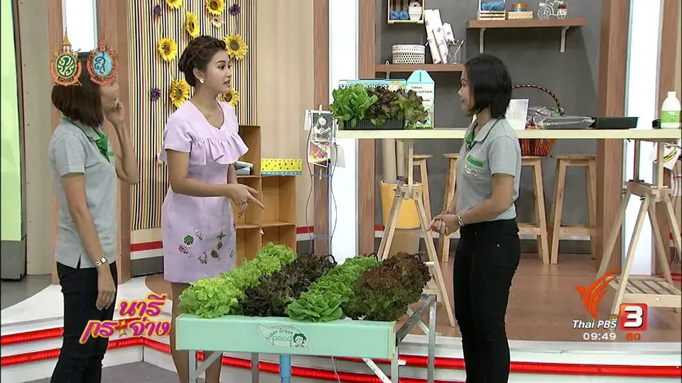 ปลูกผักไร้ดิน สุขภาพดีมีอาชีพ
