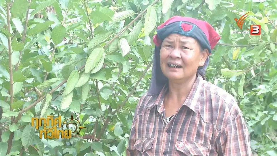 ประเด็นข่าว (7 ต.ค. 59)