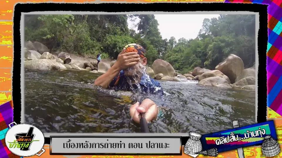 ลัดเลาะลำธารใสหาปลาแงะ